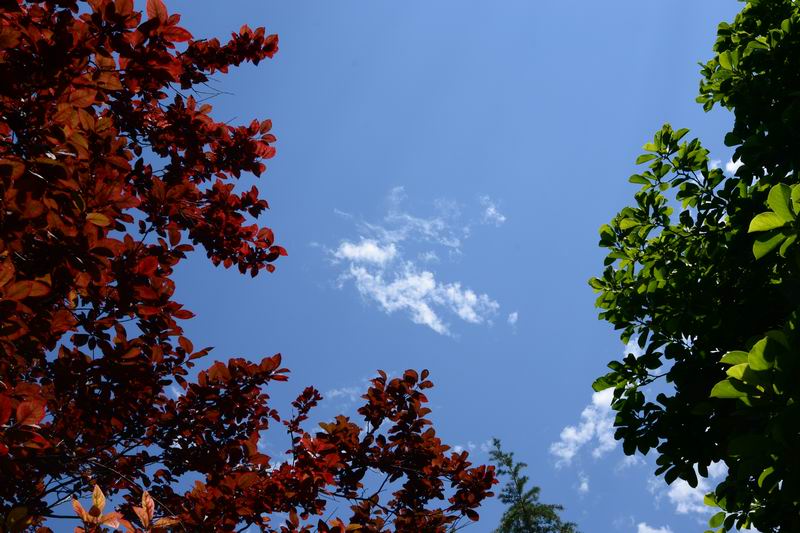 调整大小 DSC_0046.JPG