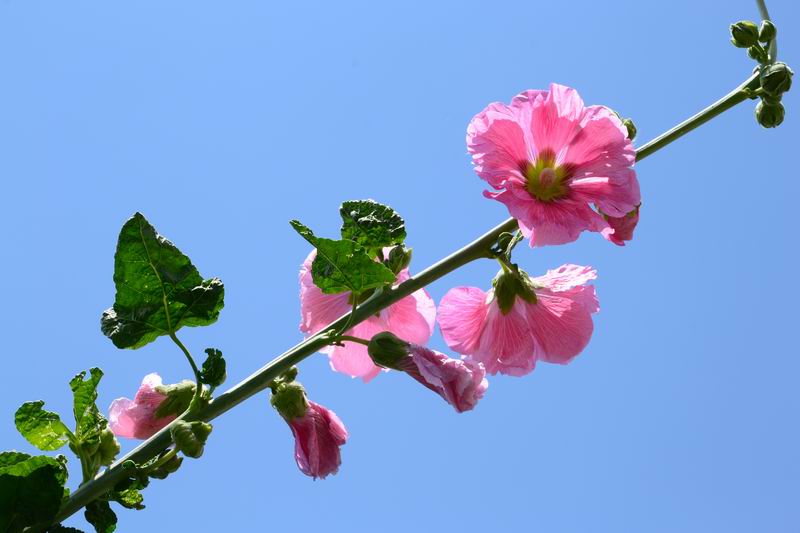 调整大小 DSC_0047.JPG