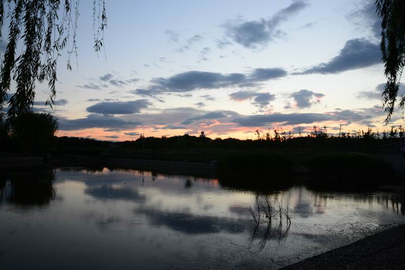 调整大小 DSC_0040.JPG