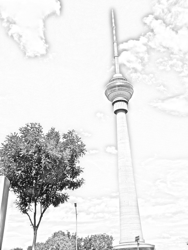 2012.6.15.玉渊潭 (18)_副本.jpg