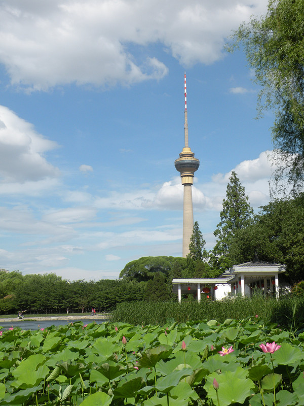 2012.6.15.玉渊潭 (16)_副本.jpg