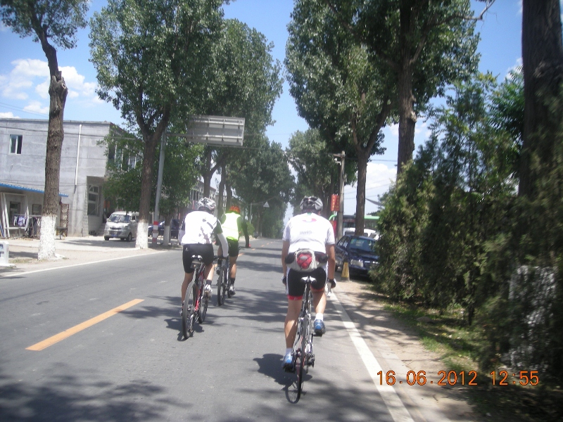 DSCN1755 (800x600).jpg