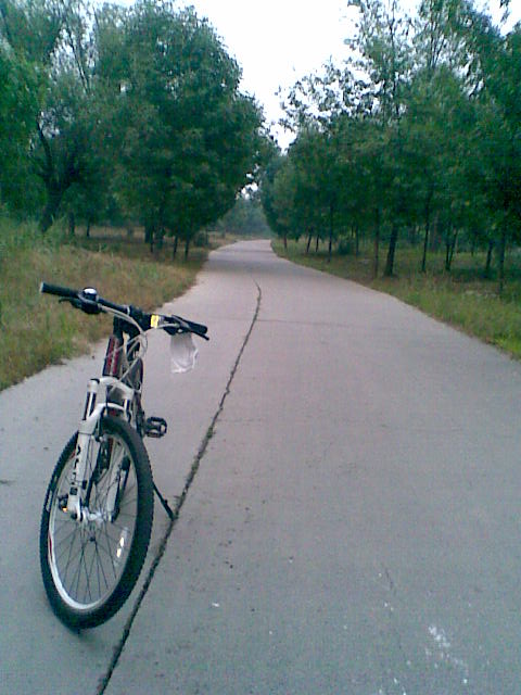 东小口森林公园