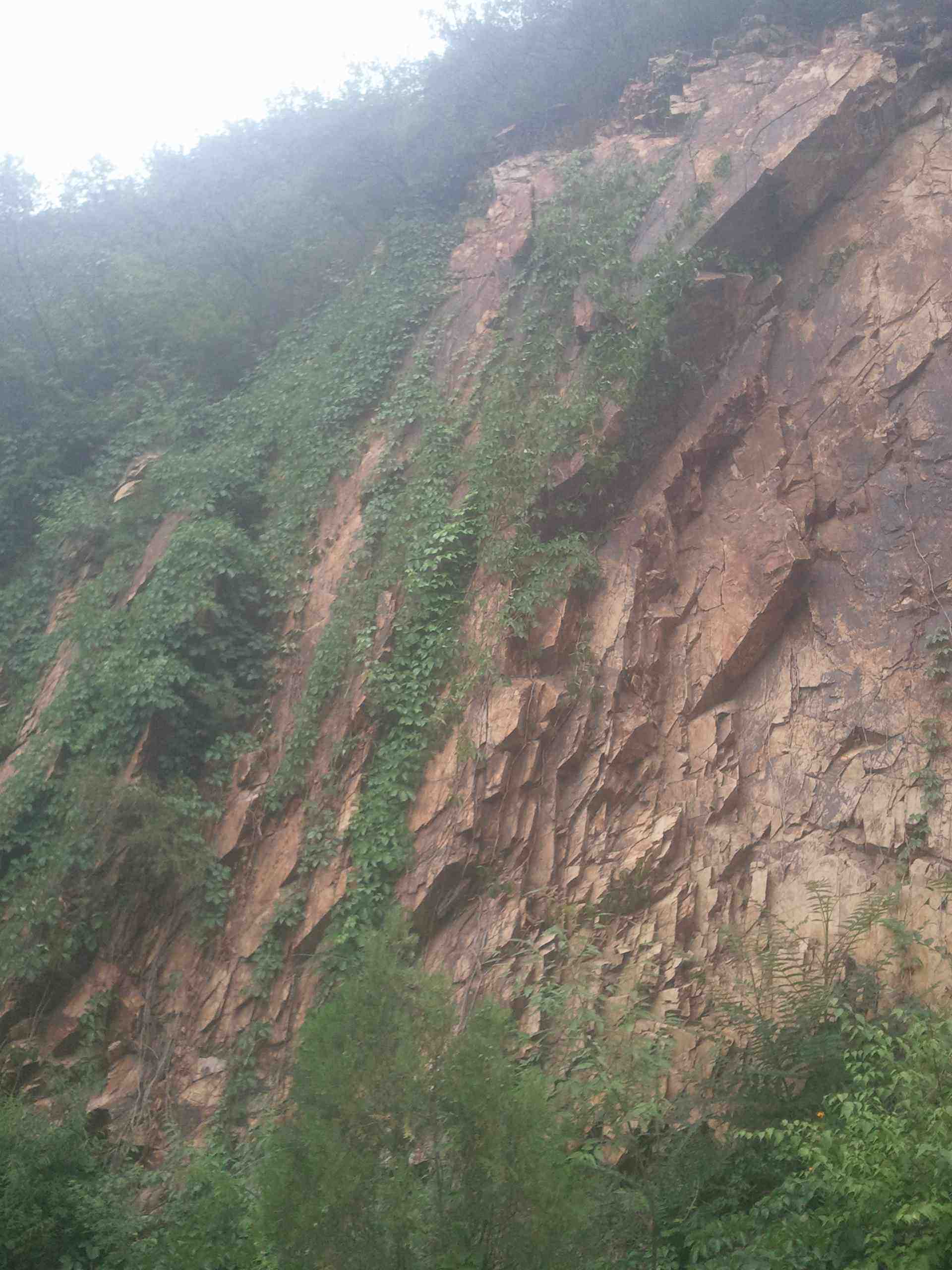 2012-06-22 12.16.11.jpg