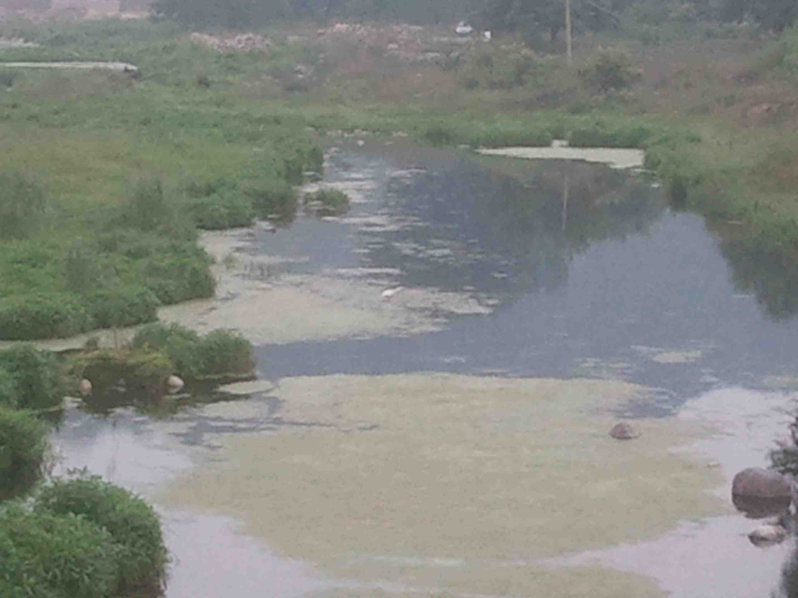 2012-06-22 13.15.21.jpg