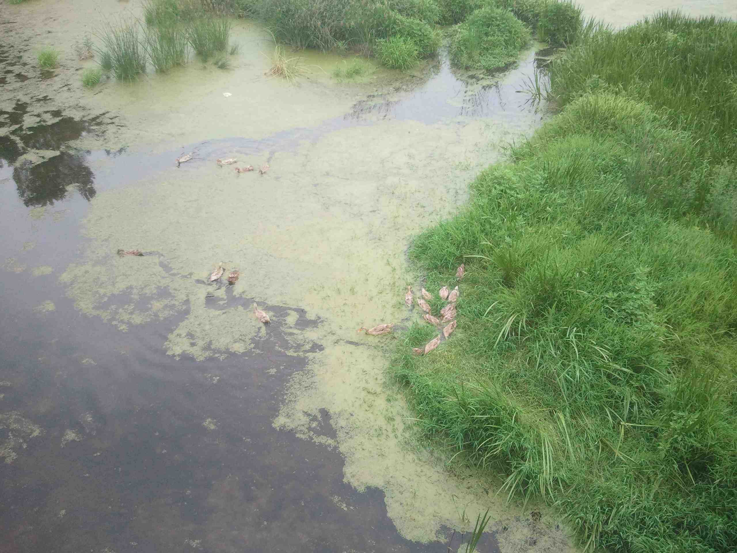 2012-06-22 13.15.35.jpg