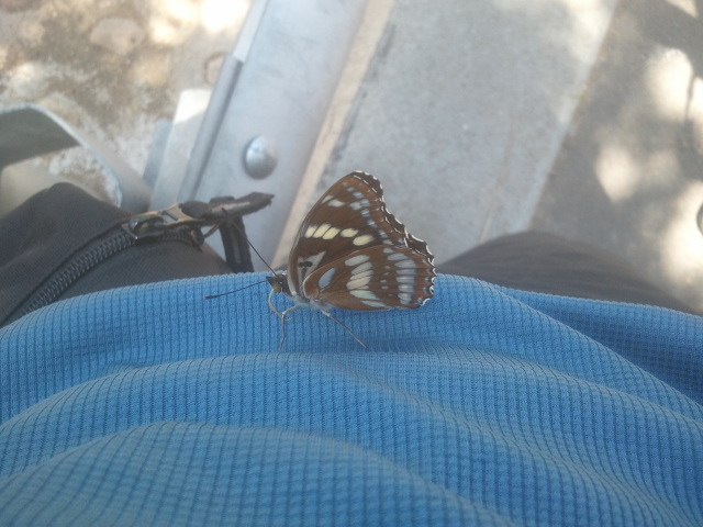 2012-06-30 12.08.29.jpg