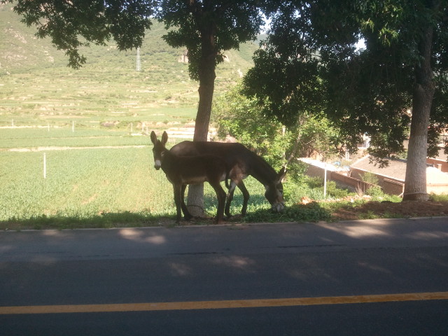 2012-06-30 16.26.02.jpg