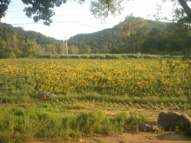 2012-06-30 18.32.44.jpg