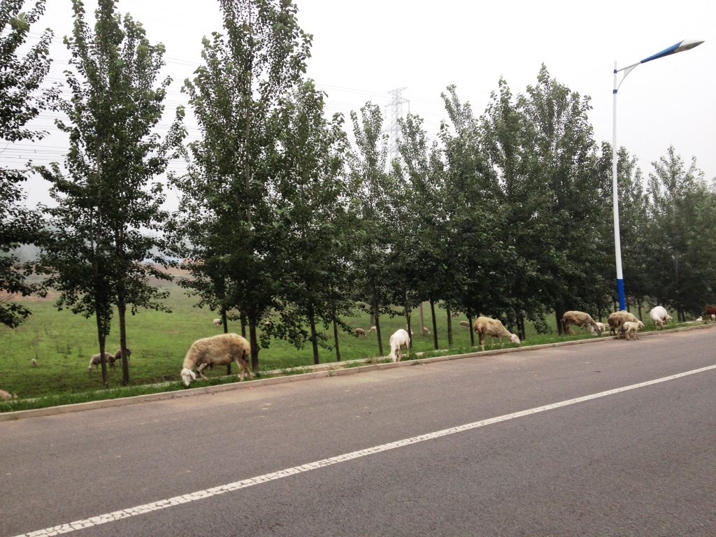 百里画廊 016.jpg