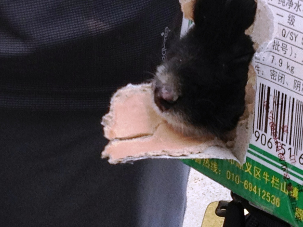 百里画廊 021.jpg