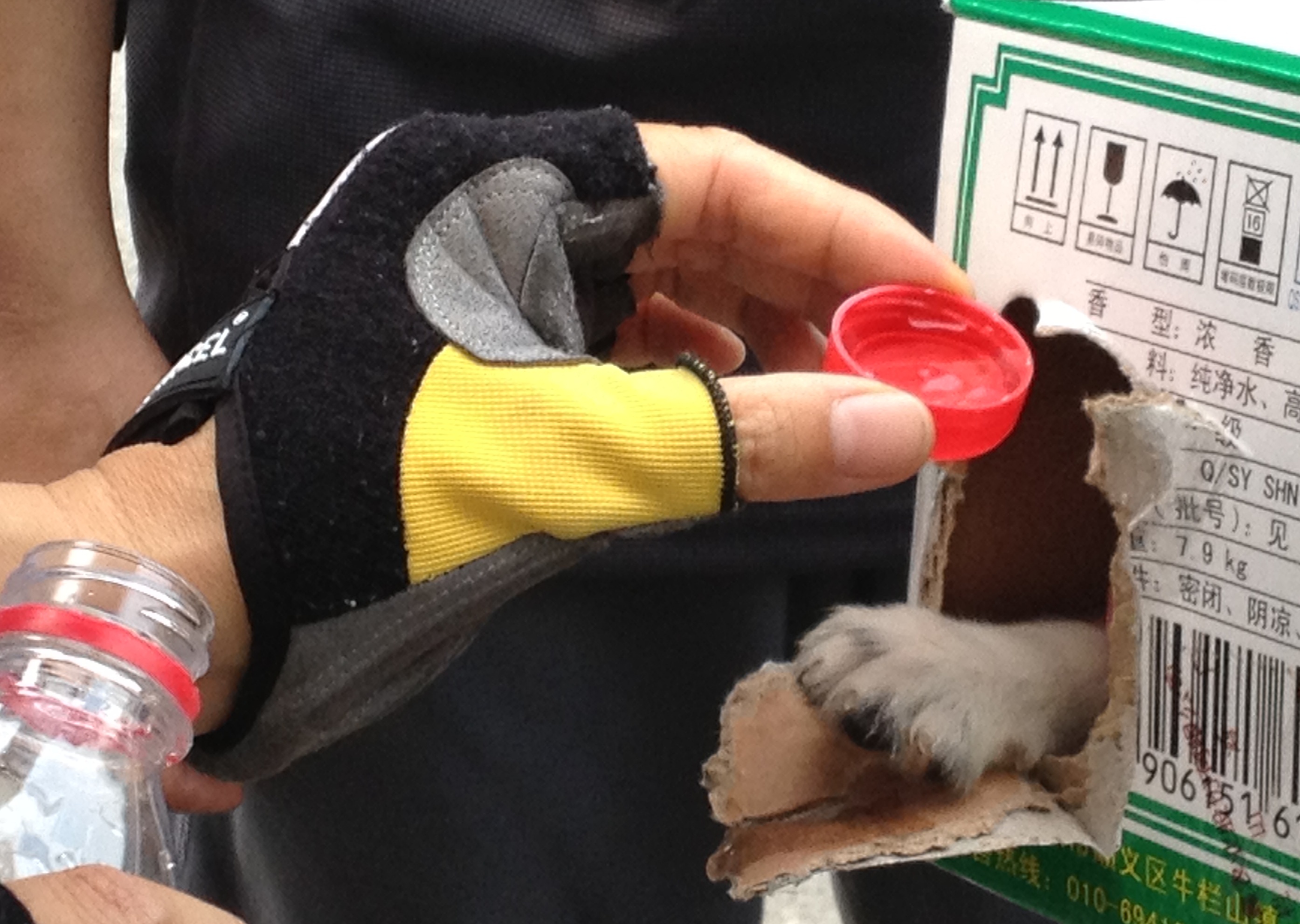 百里画廊 023.jpg