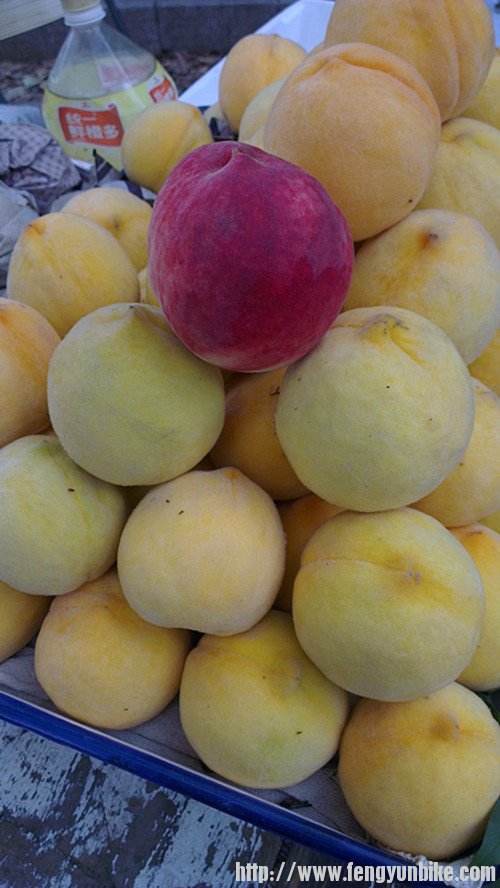 水蜜桃甜死我了