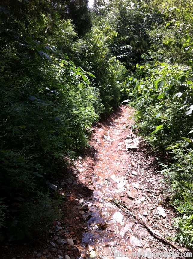 顺着野山路，一路向上，路基被昨天的暴雨冲刷后只留下了石头！