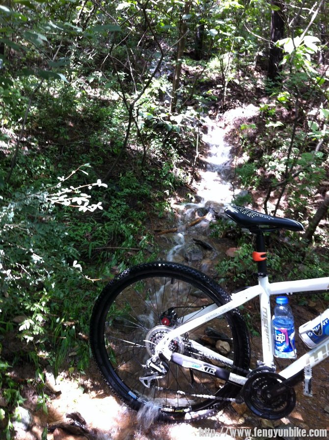 泉水还真清冽哩！