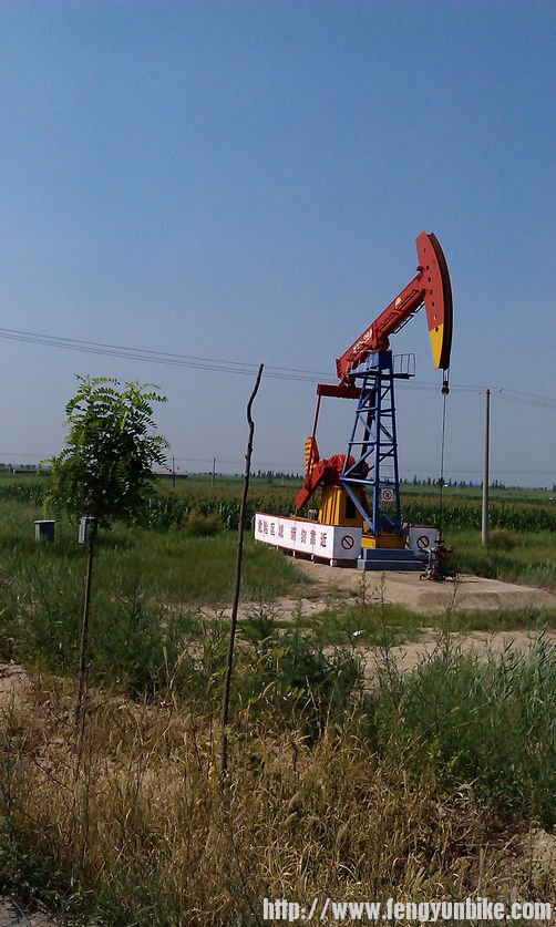 黄骅市的油田