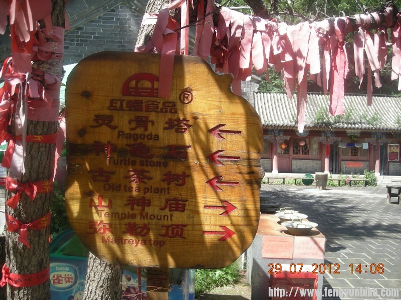 DSCN1863 (800x600).jpg