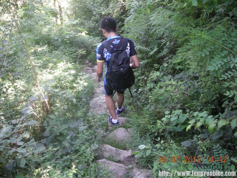 DSCN1868 (800x600).jpg