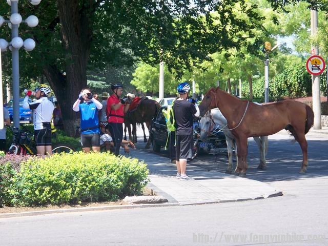 调整大小 100_4545.JPG