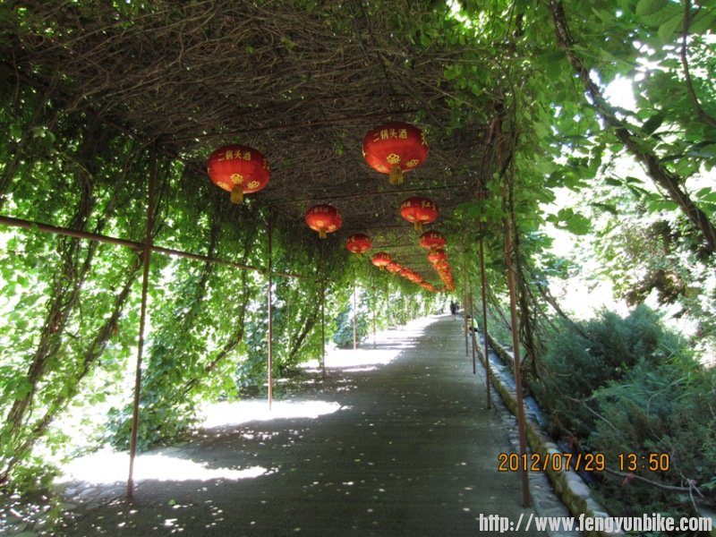 上山的植物走廊