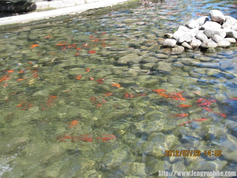 水至清则有小鱼