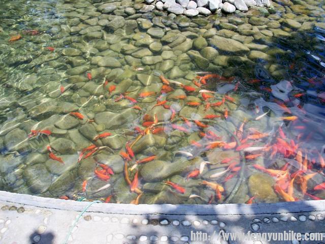 调整大小 100_4607.JPG