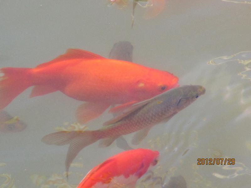 怀柔圣泉寺 048.jpg