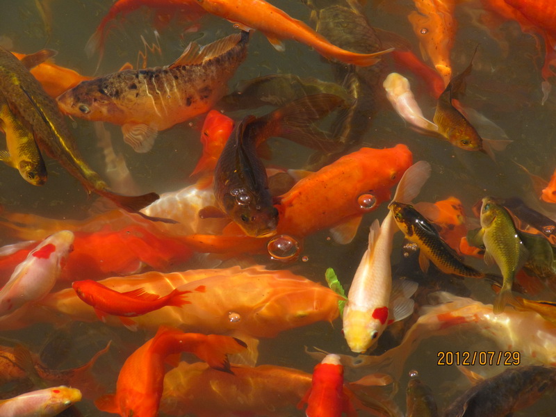 怀柔圣泉寺 049.jpg