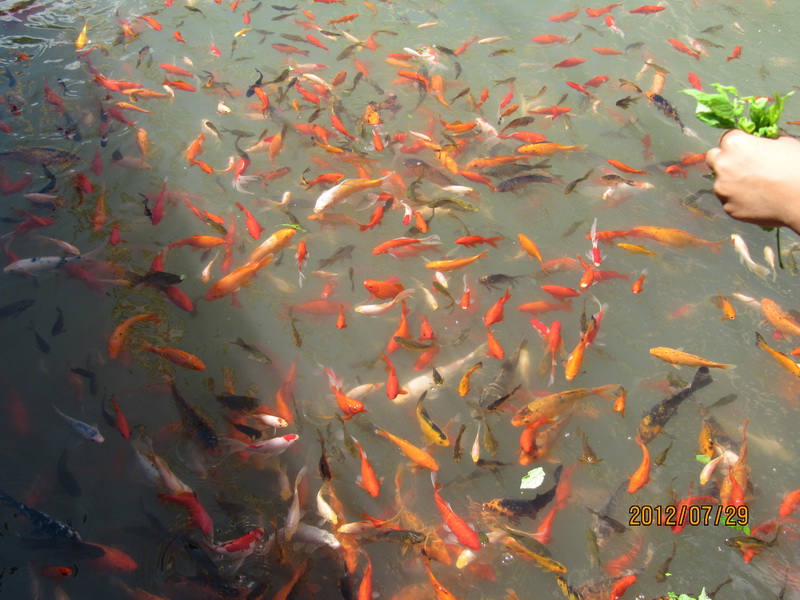 怀柔圣泉寺 050.jpg