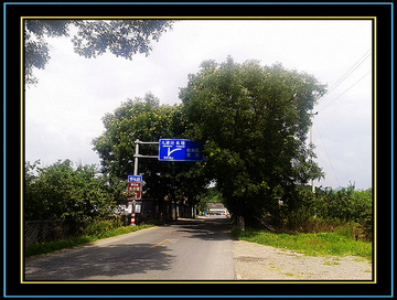 2012-08-05 11.37.38.jpg