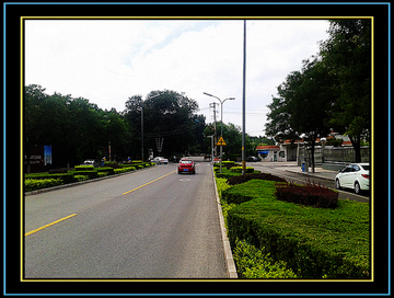 2012-08-05 12.41.04.jpg