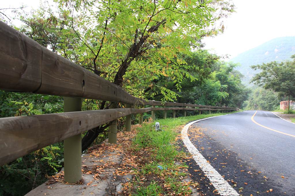 骑妙未成变奇妙