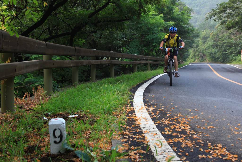 骑妙未成变奇妙