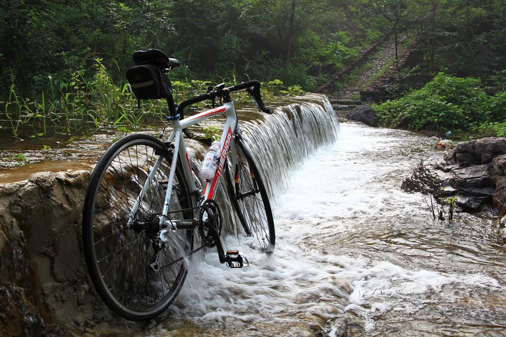 骑妙未成变奇妙