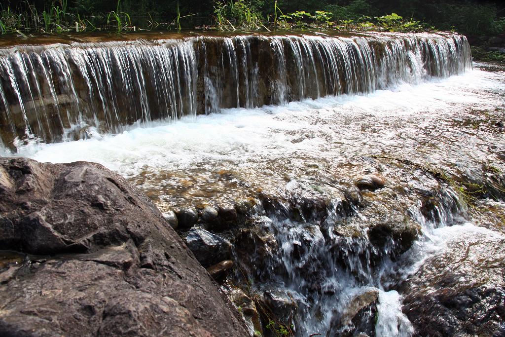 骑妙未成变奇妙