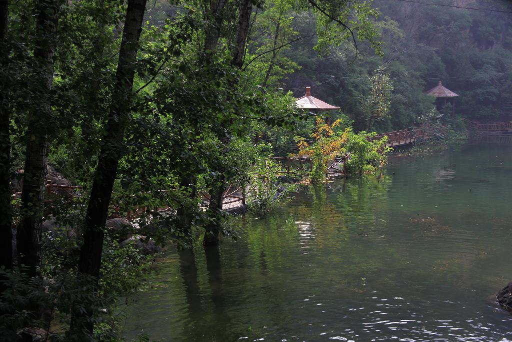 骑妙未成变奇妙