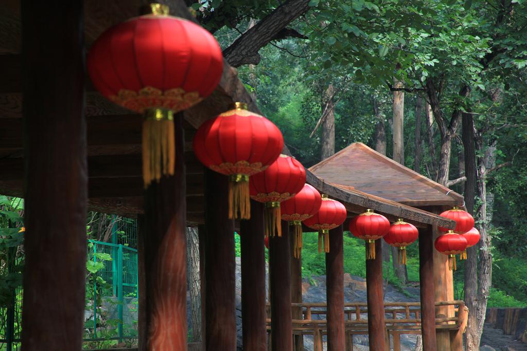 骑妙未成变奇妙