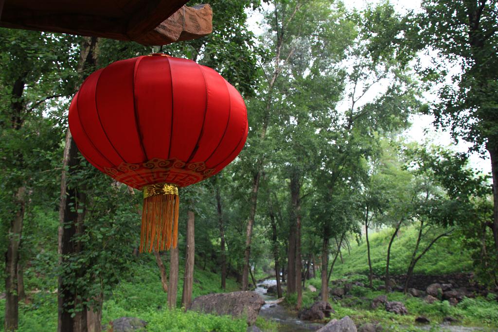 骑妙未成变奇妙