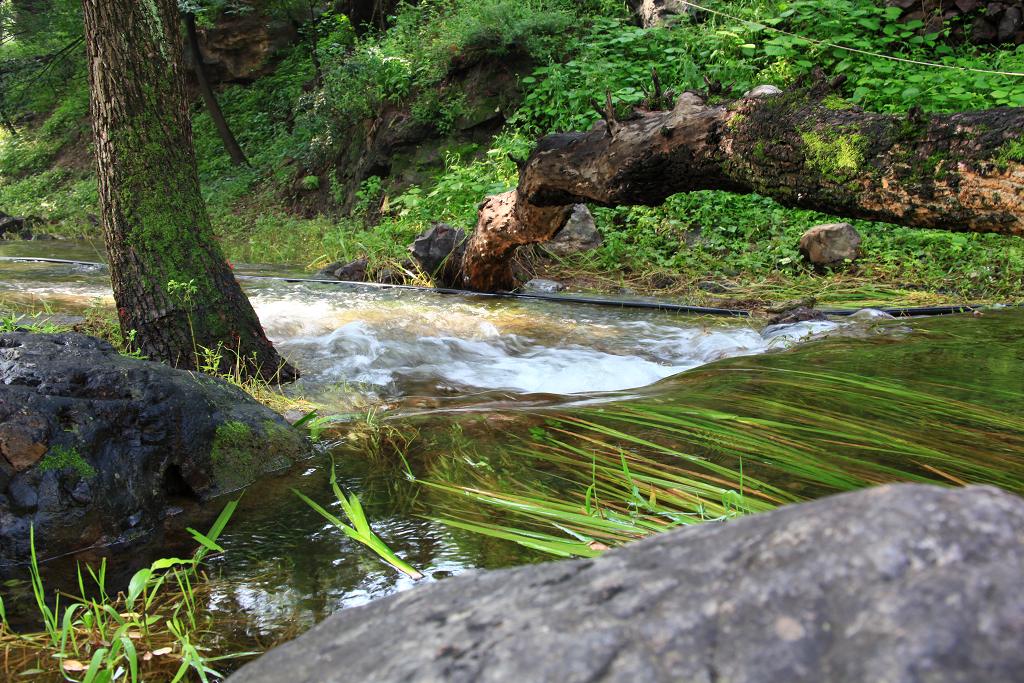 骑妙未成变奇妙
