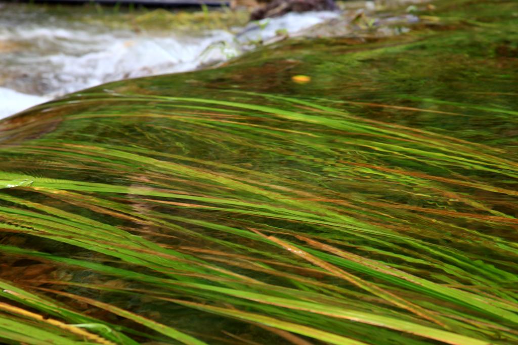 骑妙未成变奇妙