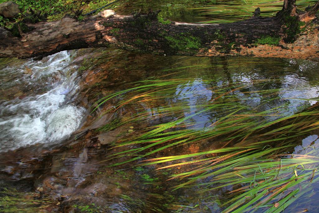 骑妙未成变奇妙