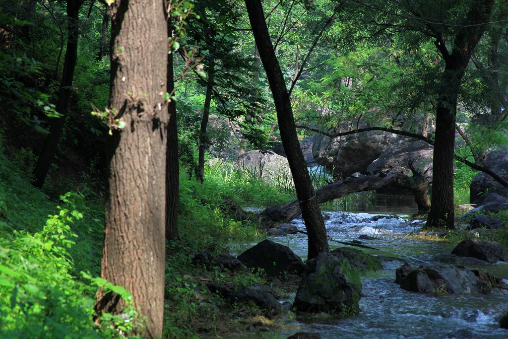 骑妙未成变奇妙