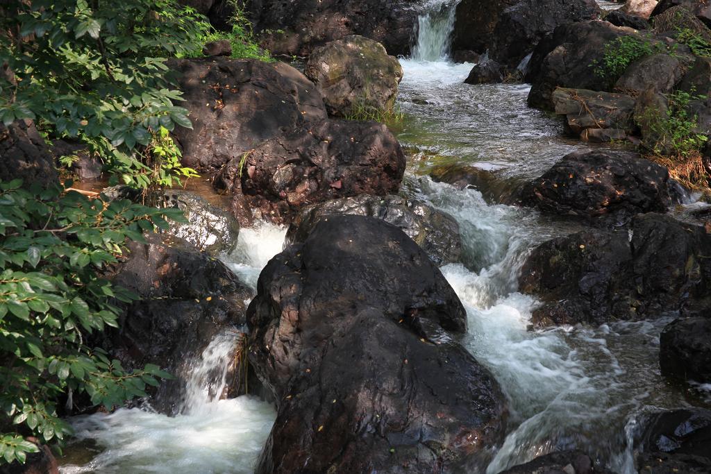 骑妙未成变奇妙