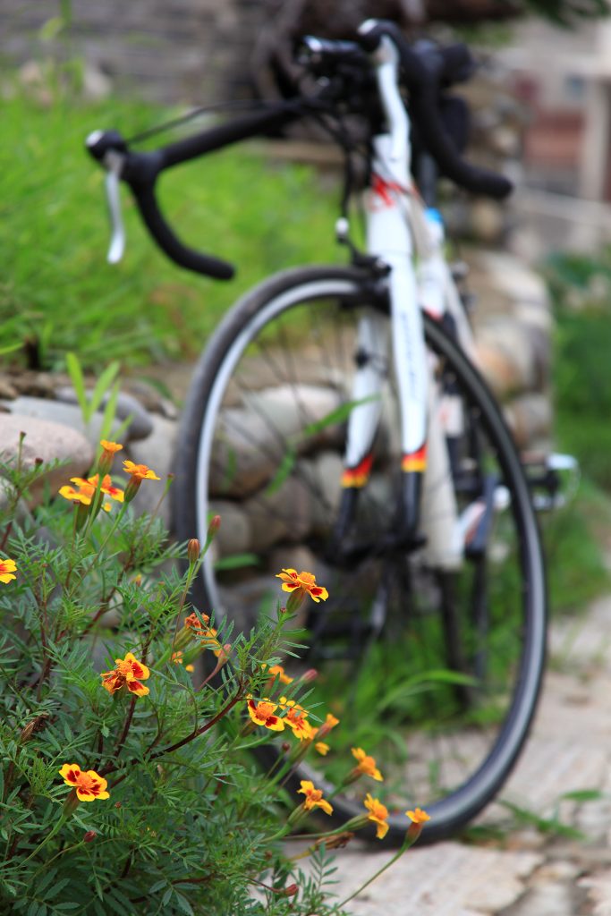 骑妙未成变奇妙