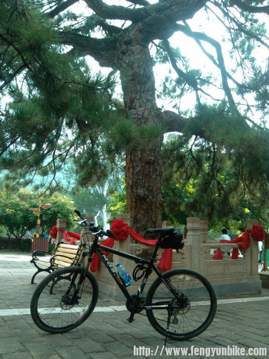 潭柘寺了，古松一颗