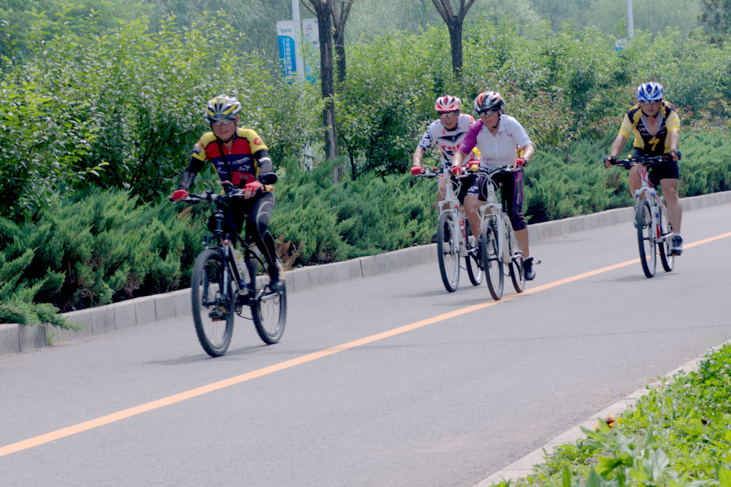 幸福公社山地组