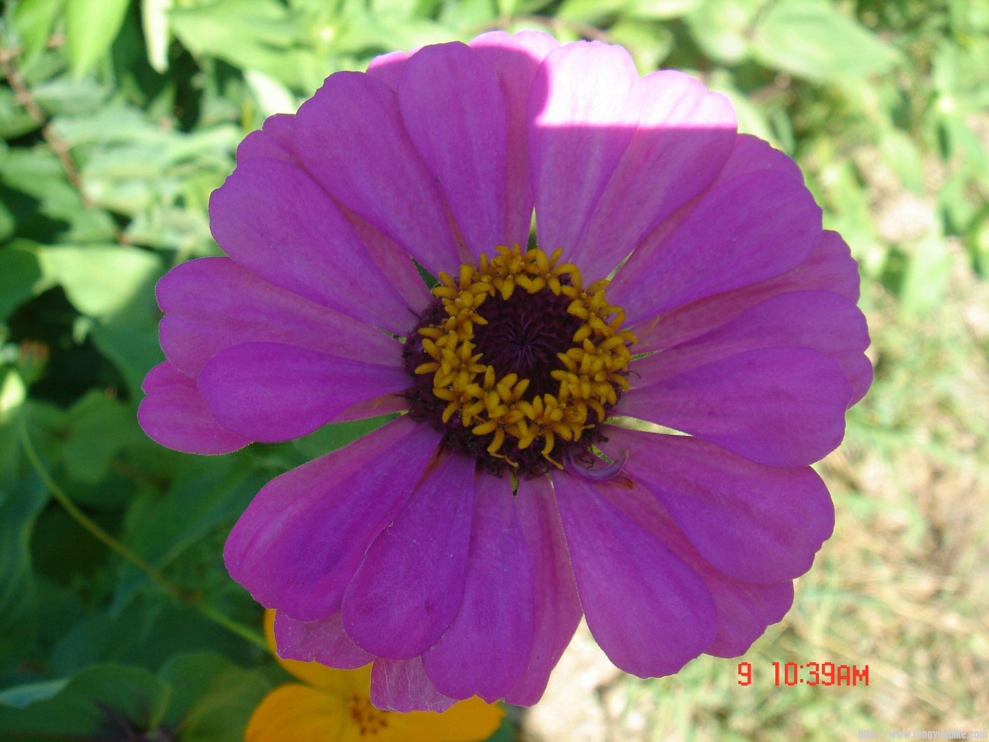 DSC07990 (2000x1500).jpg