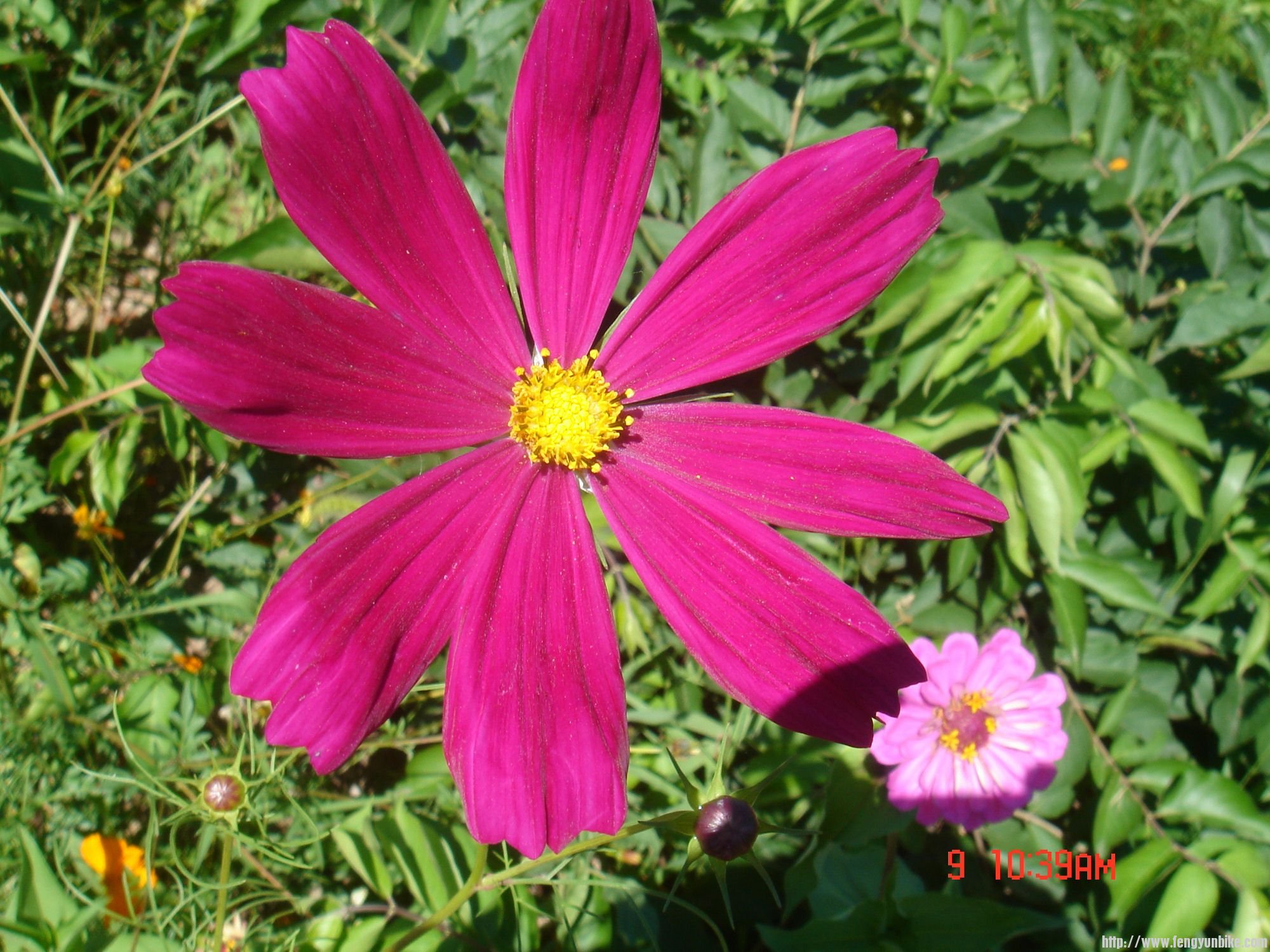 DSC07991 (2000x1500).jpg