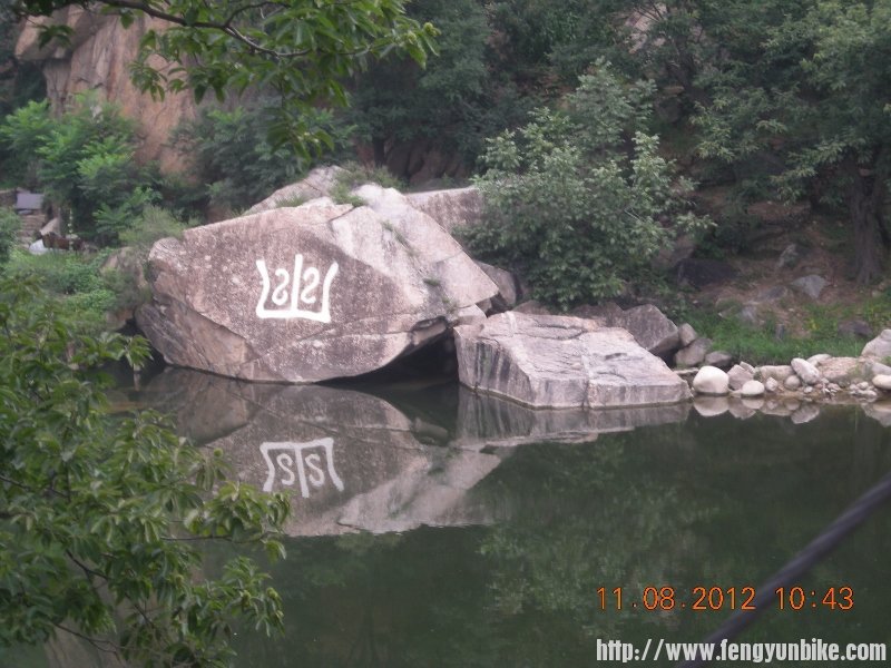 DSCN1882 (800x600).jpg