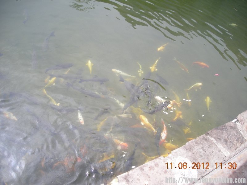 DSCN1884 (800x600).jpg